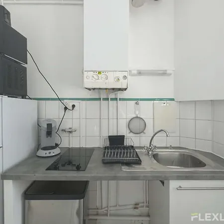 Flexliving - Whole Flat - Prague Párizs